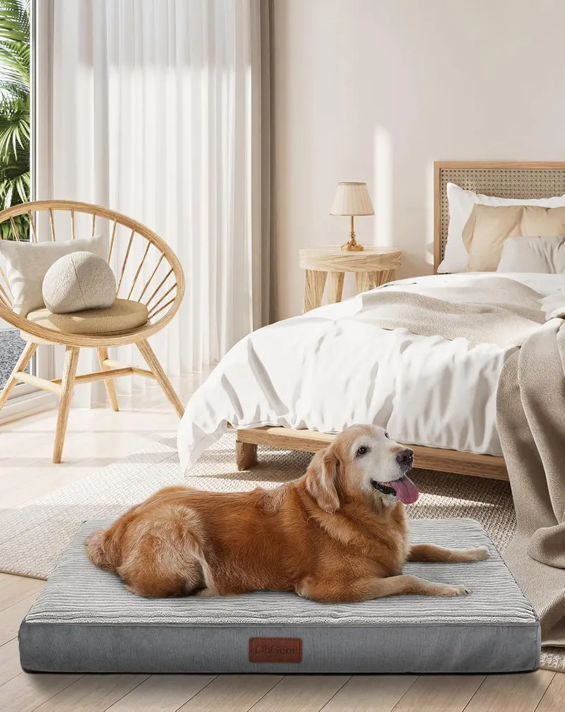 OhGeni Orthopedic Waterproof Dog Bed